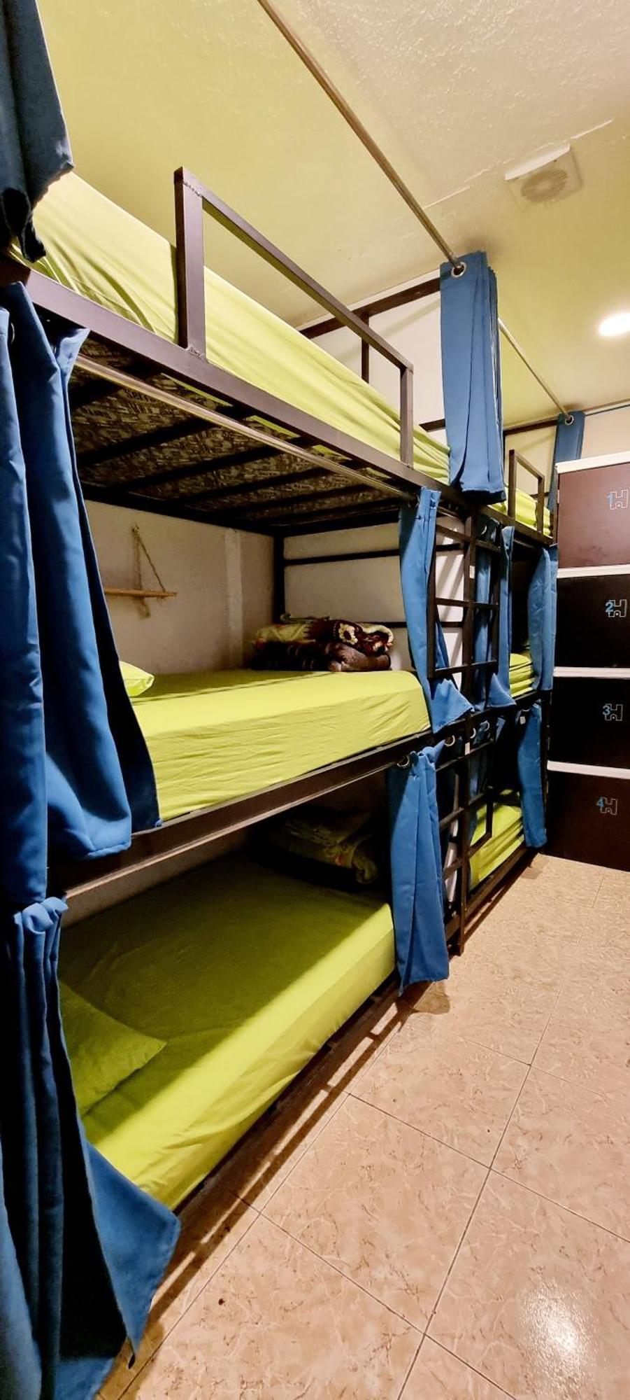 Bunk Bed in Mixed Dormitory Room